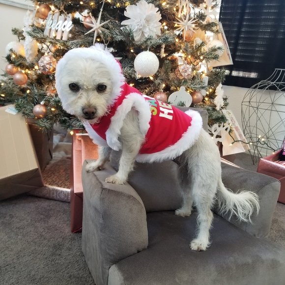 Meet your Posher, Mayra - Picture 5 of 10